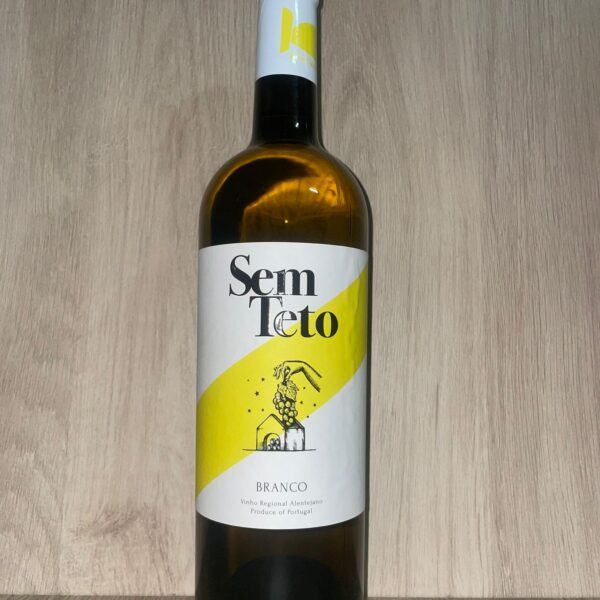 Sem Teto Branco 2024