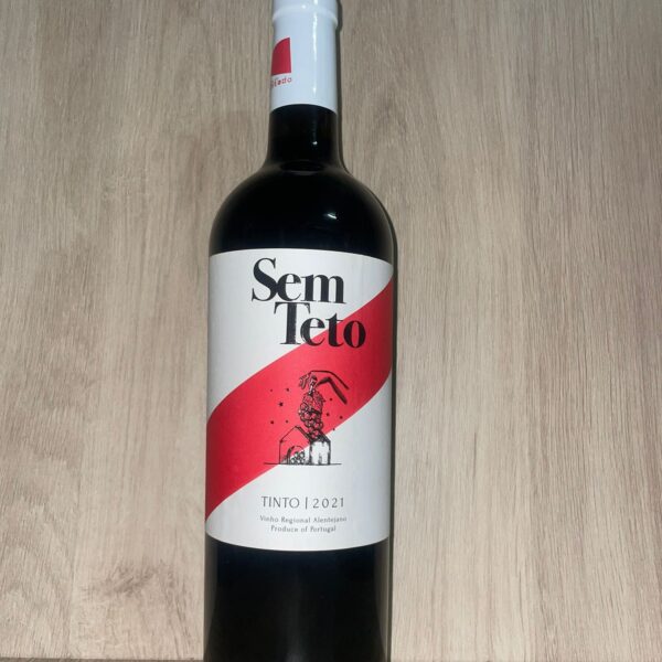 Sem Teto Tinto 2021